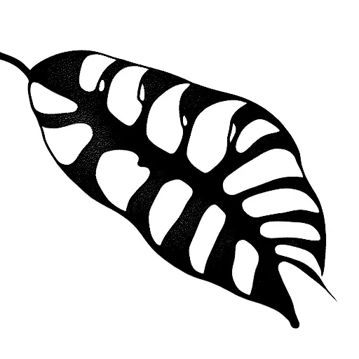 Monstera Plant Abstract