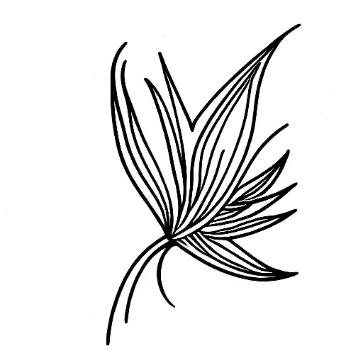 Bird Of Paradise For Aquarius Woman