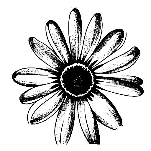The Word Joy In Cursive Turning Into The Stem Of A Daisy