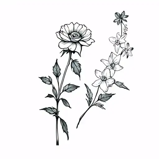 Aster Flower And A Rose And A Narcissus And A Forget Me Not