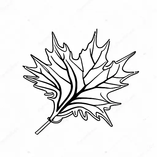 Maple Leaf With Branches