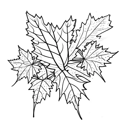Vine Branches With Maple Leafs