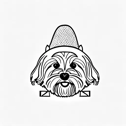 Lhasa Apso Dog