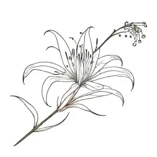 Minimalist Spider Lily Flower With Morse Code As Stem