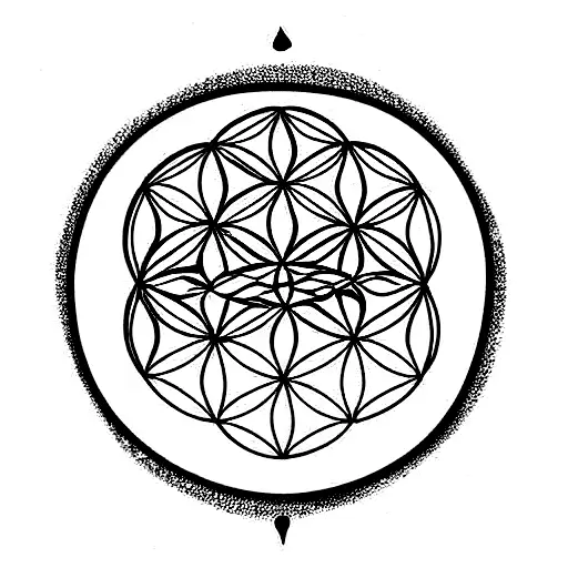 Moon Flower Of Life