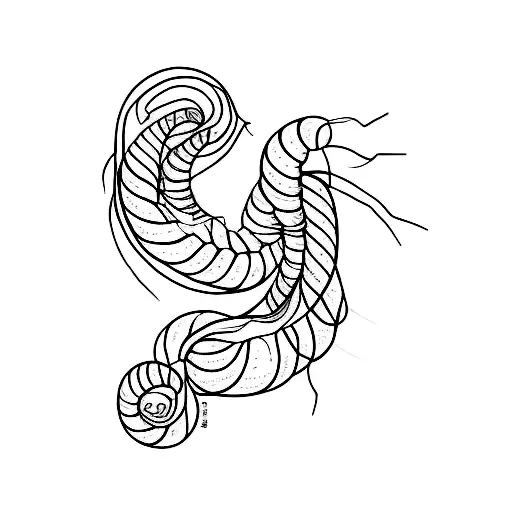 Fine Line Centipede Going With A Tilt To Fit A Body Tilt