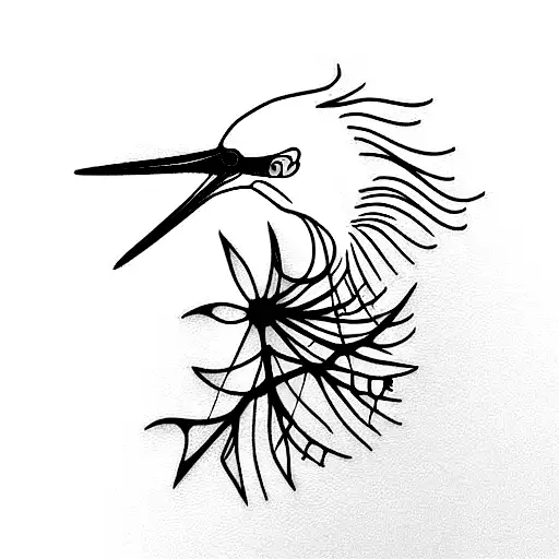 Snowy Egret Skeleton