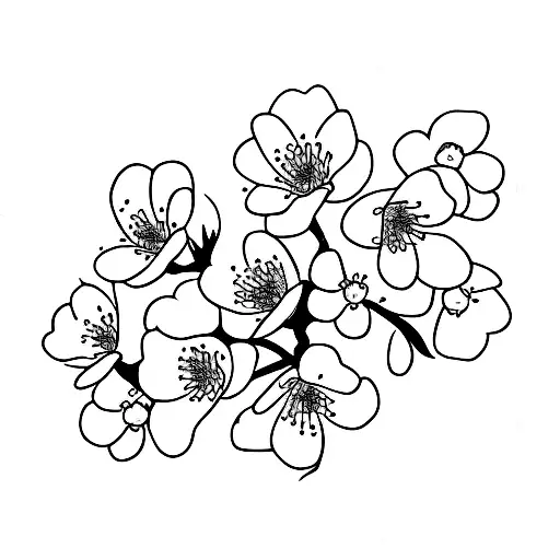 Sword Cherry Blossom