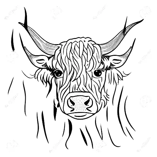 Simple Black And White Highland Cow Face Outline