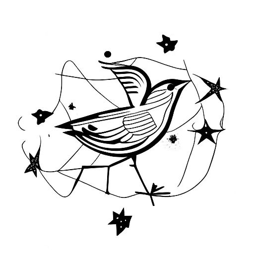 Bird With Stars