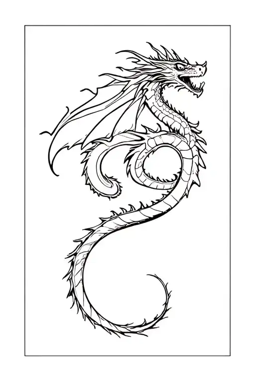 Ligne Fine One Piece Et Dragon Flying