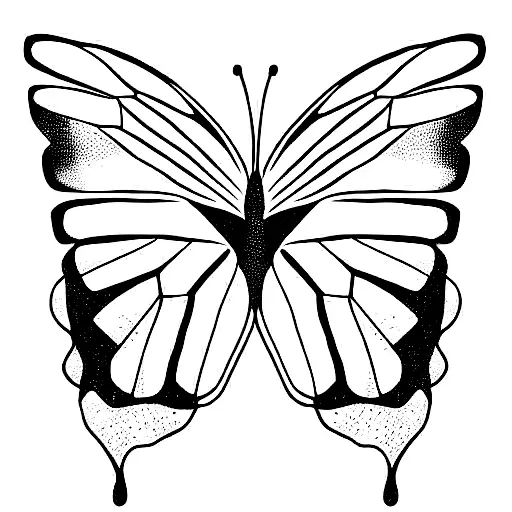 Butterfly With Broken Wing