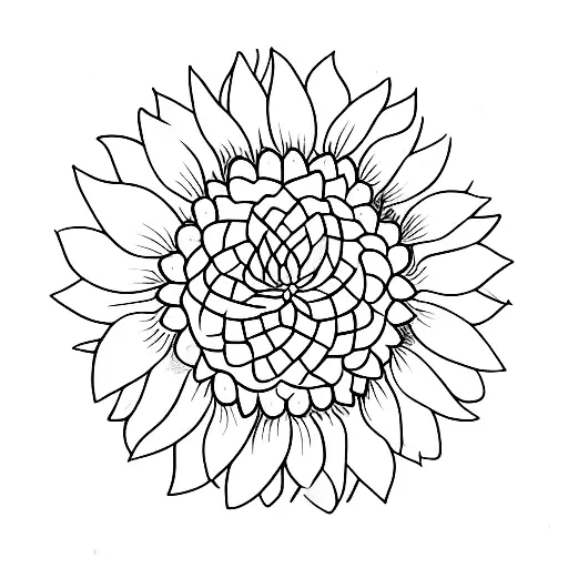 Semi-colon Sunflower