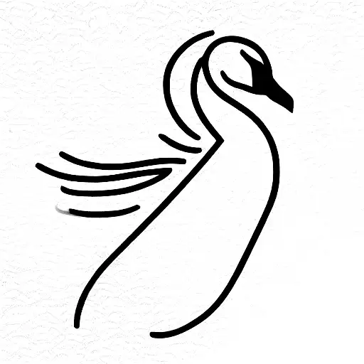 White Swan Transforming Into Black Swan