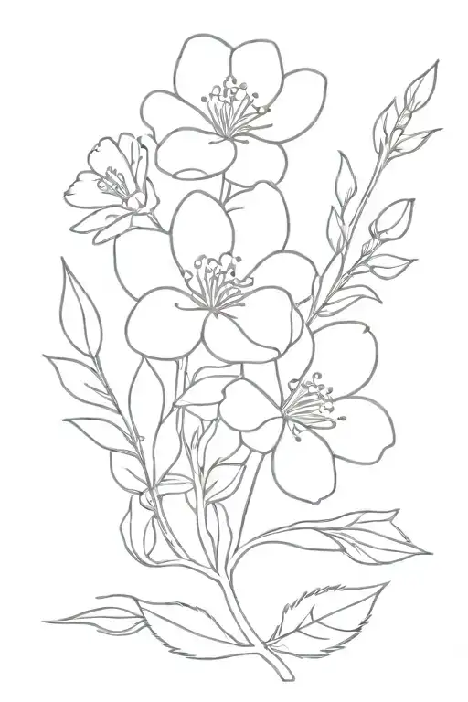 August October Birth Flower