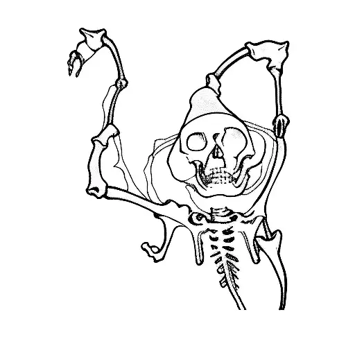 A Skeleton In A Hooded Robe