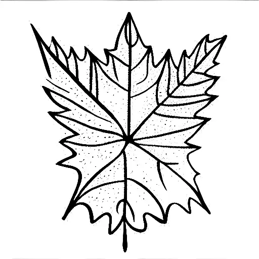 Number 30 With Oak Leaf