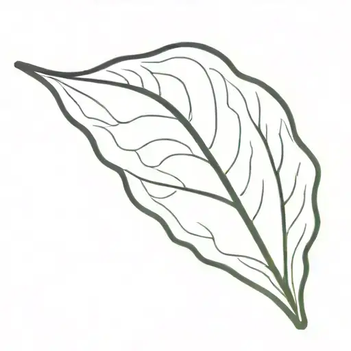 Salad Leaf