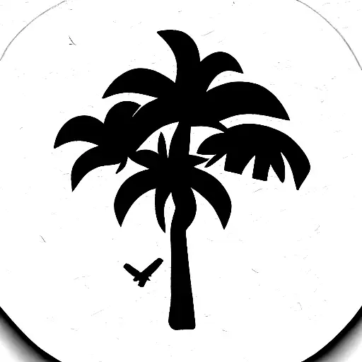 Palm Tree Sand Airplane America