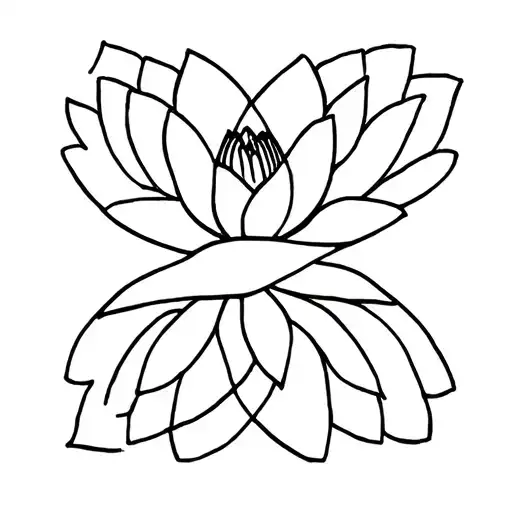 Water Lily With 143 X Infinity Symbol