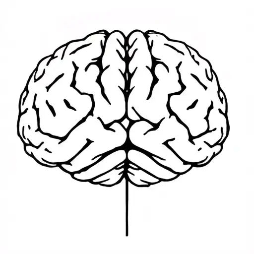 Brains And Overcoming Anxiety Mental Health