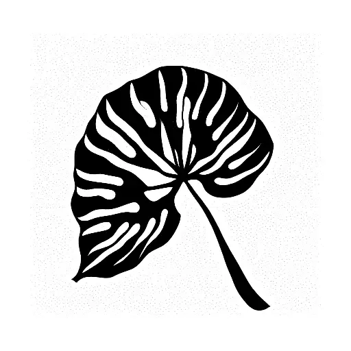 Monstera And Dypsis Lutescens Plant