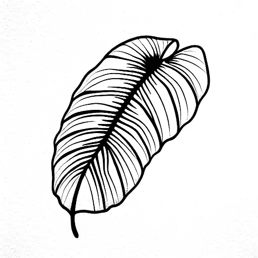 Monstera And Dypsis Lutescens Plant