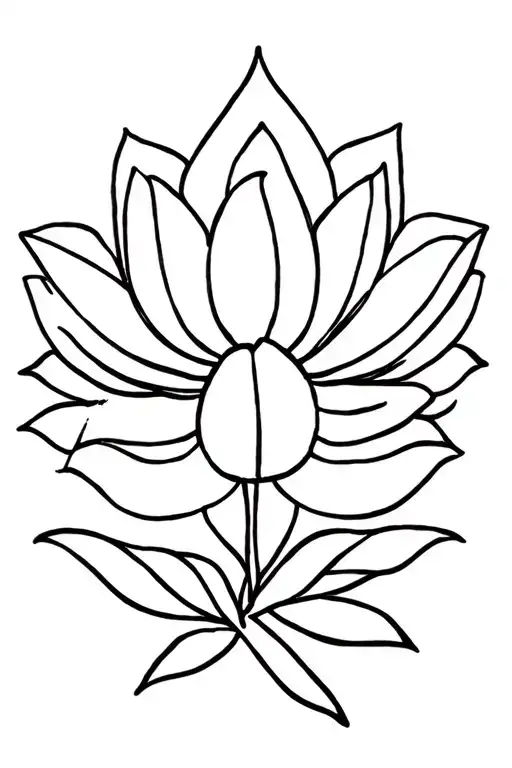 Flower Lotus Flower