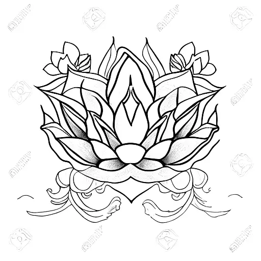 Lotus Flower And Wolf Paw