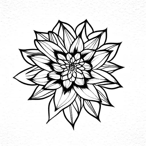 Dahlia Flower And Rainbow