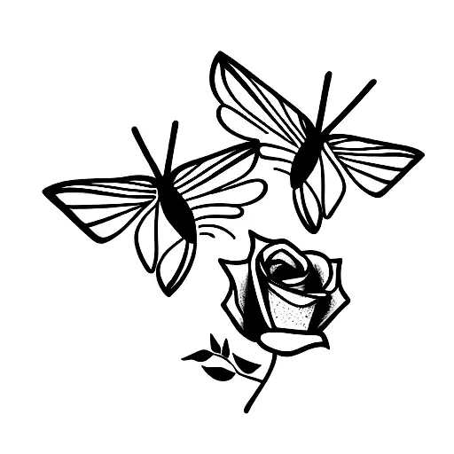 Moth And Rose Tangled Intoeach Other