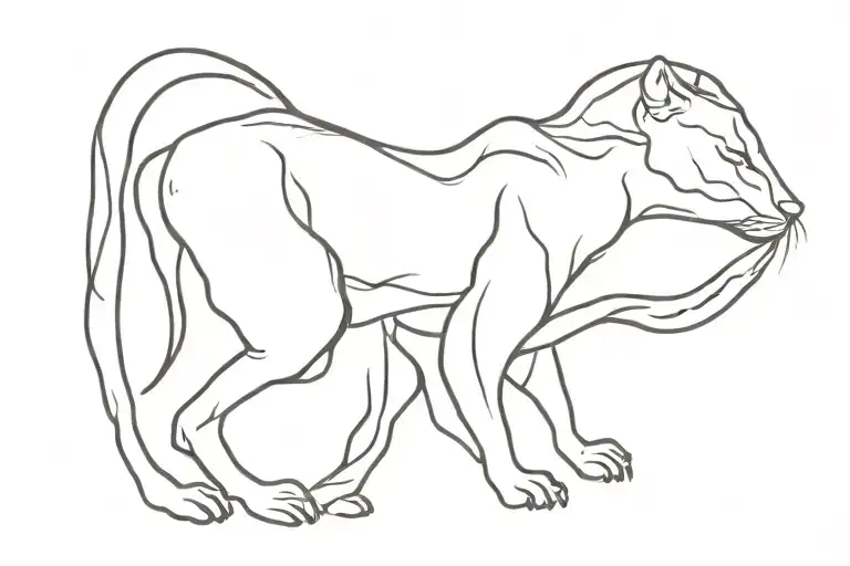 Panthere Black Silhouette Surrounded