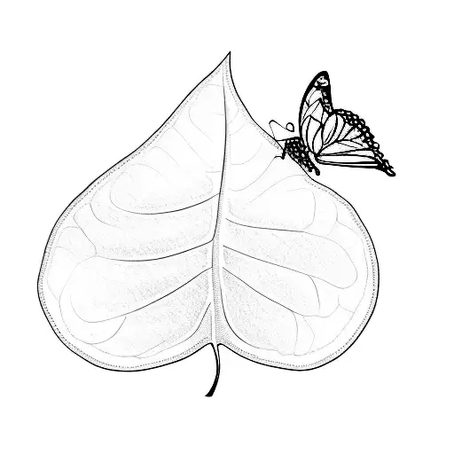 A Leaf With A Butterfly On It