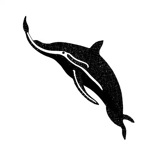 Whale Looking Calmly Over The Sea And Looking Directly At Me Black And White Minimal