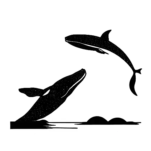 Whale Looking Calmly Over The Sea And Looking Directly At Me Black And White Minimal