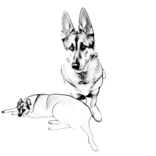 Two German Shepherd Dogs