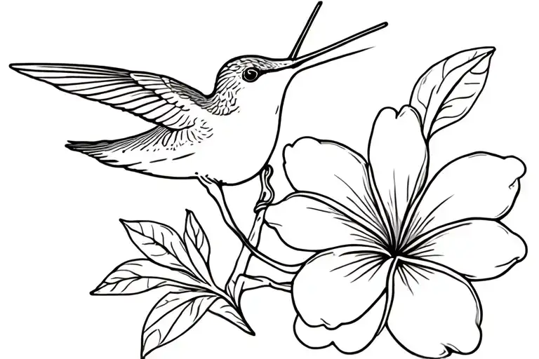 Hummingbird And Frangipani Flower