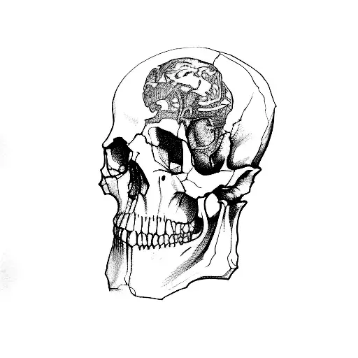 A Drawing Of A Skull