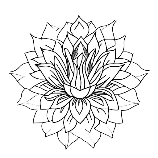 A Blooming Lotus Flower Symbolizing Personal Growth And Enlightenment