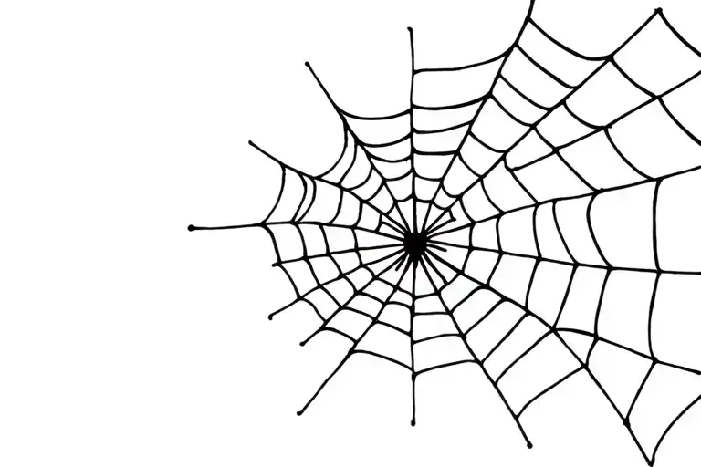 Spider Web