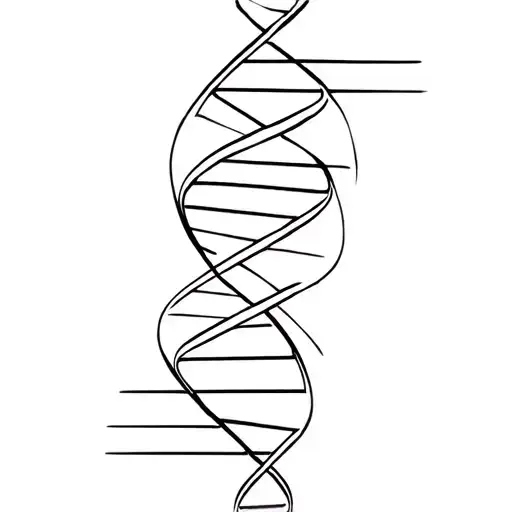 Dna Helix Intertwined