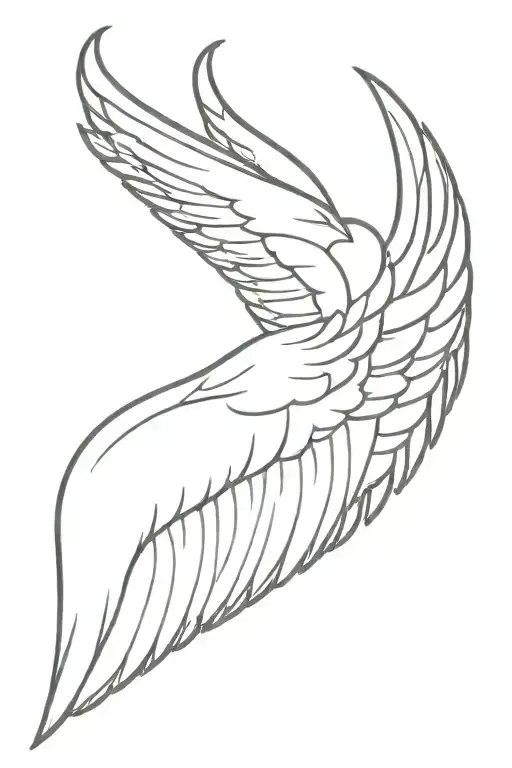 Simple Angel Wings On The Back