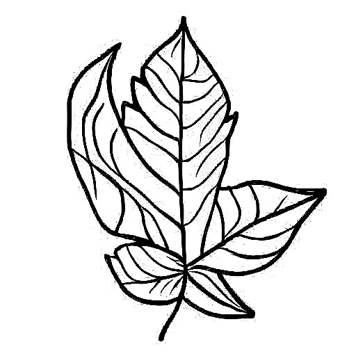 Traditional Vietnamese Leaf Hat