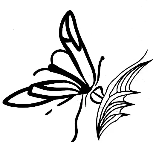 Butterfly Daffodil Sunrise Robin