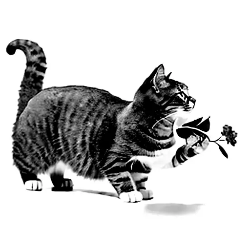 A Cat Smelling A Flower