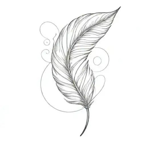 Semi Colen And Feather