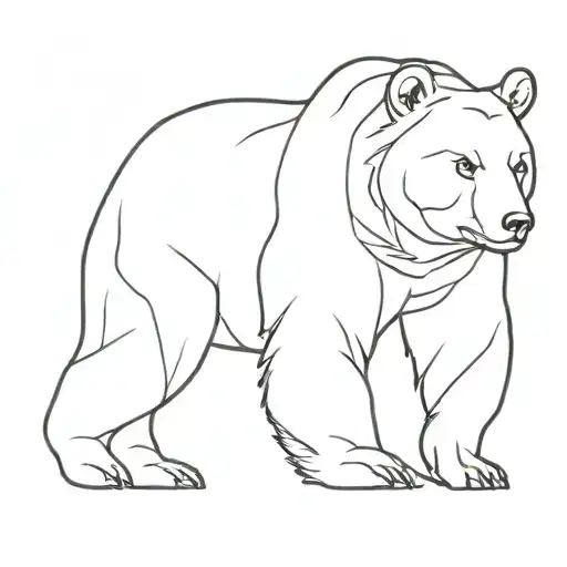 Bear