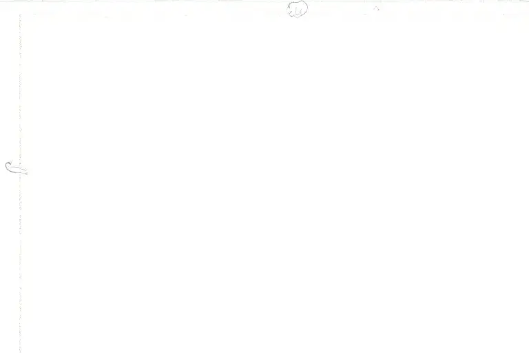 A Woman With A Baby In Her Arms