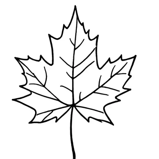 Canada Maple Leaf Sussex