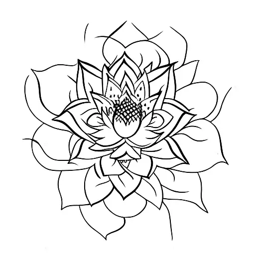 Lotus Flower With Fine Lines Delicate